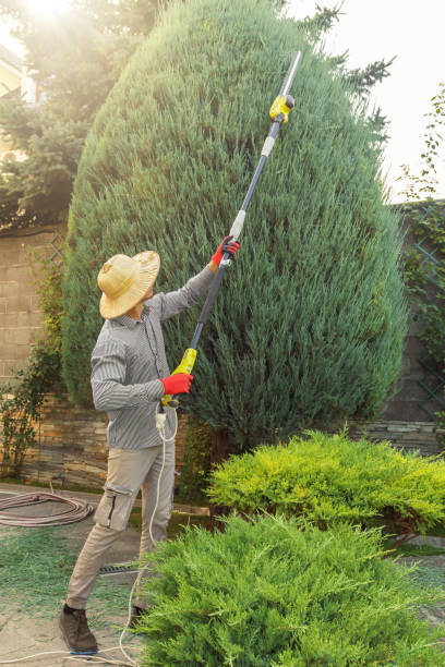 Best Lawn Mowing  in Lompoc, CA